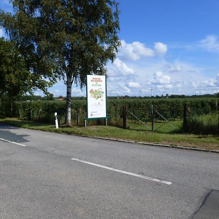 Fewo Im Alten Land Hamburg Eksteriør bilde